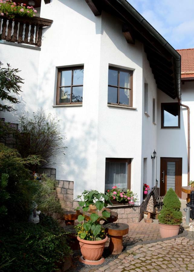 Ferienwohnung Reissmann Heinsdorfergrund エクステリア 写真